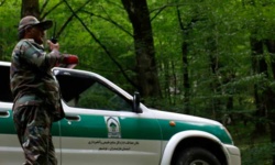 جنگلبان، حامی نسل‌ها