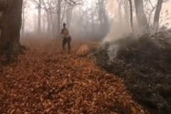 نبرد قهرمانانه با شعله‌های آتش در قلب جنگل‌های الیت