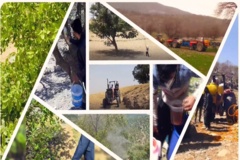 کلیپ معرفی گروه گیاهپزشکی دفتر حفاظت و حمایت منابع طبیعی