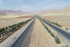 عکس‌های جنگل