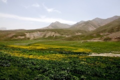 مرتع، خوان گسترده زمین، زیست بوم زاینده و آرام