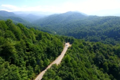 جنگل، میراث دیرین طبیعت ایران