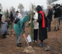 گزارش تصویری درختکاری روز پدر در تهران