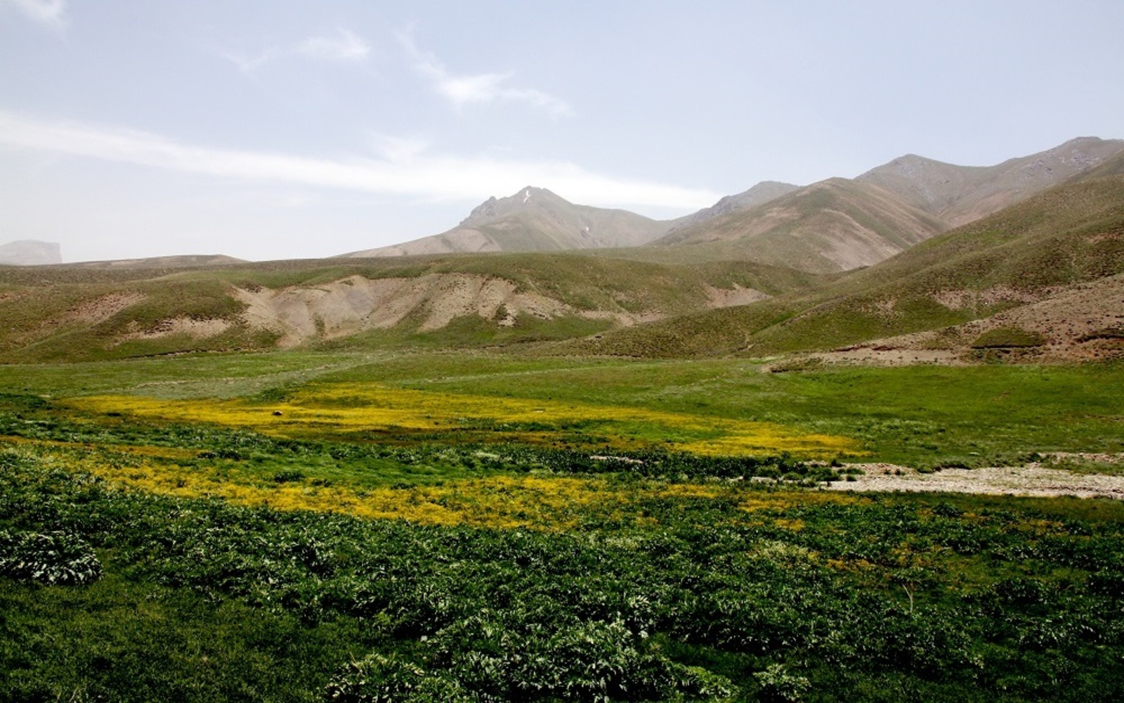 مرتع، خوان گسترده زمین، زیست بوم زاینده و آرام