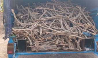 نبرد منابع طبیعی با قاچاقچیان