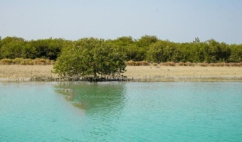 سپر سبز هرمزگان از پارسیان تا جاسک