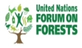 13th session of United Nations Forum on Forests (UNFF13)