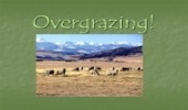 Pastures Threatened by Overgrazing 