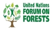 UNFF Resolutions and Decisions as decided by the Economic and Social Council