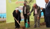 President Plants a Sapling 