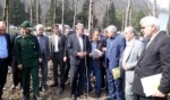 Minister of Agriculture Jahad Inaugurate Talesh Timber Cropping Project