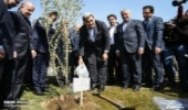Officials, Diplomats Plant Trees to Highlight Friendship and Peace 