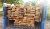 کشف ۸۸ اصله چوب آلات قاچاق جنگلی در استان اردبیل