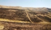 آتش سهل انگاری این بار دامان مراتع روستای بلوبین و قزلجه را گرفت