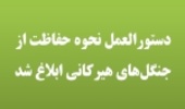 دستورالعمل نحوه حفاظت از جنگلهای هیرکانی ابلاغ شد