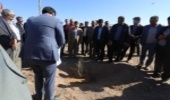 بیش از 8 هزار و پانصد اصله نهال همزمان با سراسر کشور در استان کرمان غرس شد