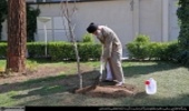 The Supreme Leader Planted Two Saplings on the Occasion of Arbor Day