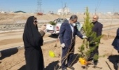 استاندار قزوین:زیبایی و سلامت محیط زیست با درخت کاری ممکن می شود