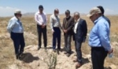 بازدید معاون امور جنگل و رییس مرکز جنگل های خارج از شمال از مراکز تولید نهال استان قزوین