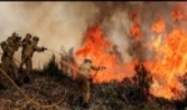 تلاش صدها آتش‌نشان برای اطفای حریق جنگلی در پرتغال