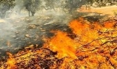 اردبیل/ آتش سوزی در منطقه حیران مهار شد