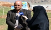 عملیات احیایی در ۲۰۰۰ هکتار از جنگل های استان کرمانشاه 