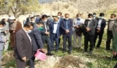 کهگیلویه/اجرای حکم سبز از سوی دادگاه عمومی چاروسا؛ کاشت ۲۴۰ اصله درخت