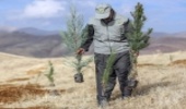 بیش از ۵۵۰ هزار نهال در کرمانشاه کاشته می‌شود