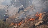 آتش سوزی جنگل های گچساران همچنان ادامه دارد/ منابع طبیعی کمک می خواهد