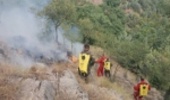 آتش سوزی جنگل‌های گالیکش با هفت مصدوم اطفا شد