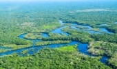 Management of world’s forests must be water-centred