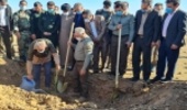 اجرای مراسم نهالکاری در ایلام با حضور معاون امور جنگل