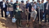 ایلام/ سه میلیون اصله نهال در طرح پویش “ملی ایران سبز” در ایلام کاشت می شود
