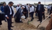 پویش کاشت ۱۲ هزار اصله نهال در کیش آغاز شد
