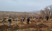 آغاز پویش نهالکاری در استان ایلام همزمان با سراسر کشور