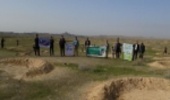 بوشهر / اجرای پویش ملی ایران سرسبز در ۲۰ هکتار عرصه طبیعی بندردیلم