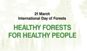به مناسبت اول فروردین، روز جهانی جنگل
