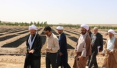 بازدید مسئول حوزه ی نمایندگی ولی فقیه سازمان منابع طبیعی و آبخیزداری کشور از نهالستان ثامن الائمه قم