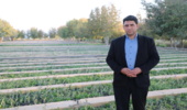 تولید 4 برابری نهال جهت اجرای طرح مردمی کاشت یک میلیارد درخت