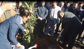 کاشت نهال توسط وزیر جهاد کشاورزی در راستای طرح مردمی کاشت یک میلیارد درخت 