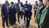 کاشت 5000 نهال همزمان با آغاز طرح ملی کاشت درخت در سمنان