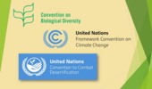 نشست مشترک کنوانسیون های ریو تحت عنوان "اتحاد برای زمین" برگزار می شود 