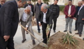 کاشت نهال توسط رئیس و کارکنان سازمان منابع طبیعی در حرم امام راحل