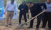 کاشت ۱۷ هزار نهال در استان بوشهر