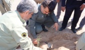 کاشت نهال توسط رییس سازمان حفاظت محیط زیست در نواران قم