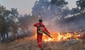 660 هزار هکتار از مناطق کهگیلویه و بویراحمد بحرانی هستند/تشکیل ۸ پرونده قضایی در رابطه با آتش سوزی مزارع
