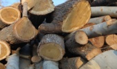 ۲ تن چوب قاچاق در چهارمحال و بختیاری کشف و ضبط شد