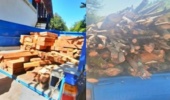 گیلان/ توقف محموله‌های چوب قاچاق در لنگرود