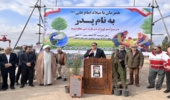 پویش «به نام پدر» با کاشت ۱۶ هزار نهال در استان سمنان