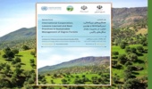برگزاری پنل تخصصی همکاری های بین المللی و درس آموخته ها در مدیریت پایدار جنگل‌های زاگرس